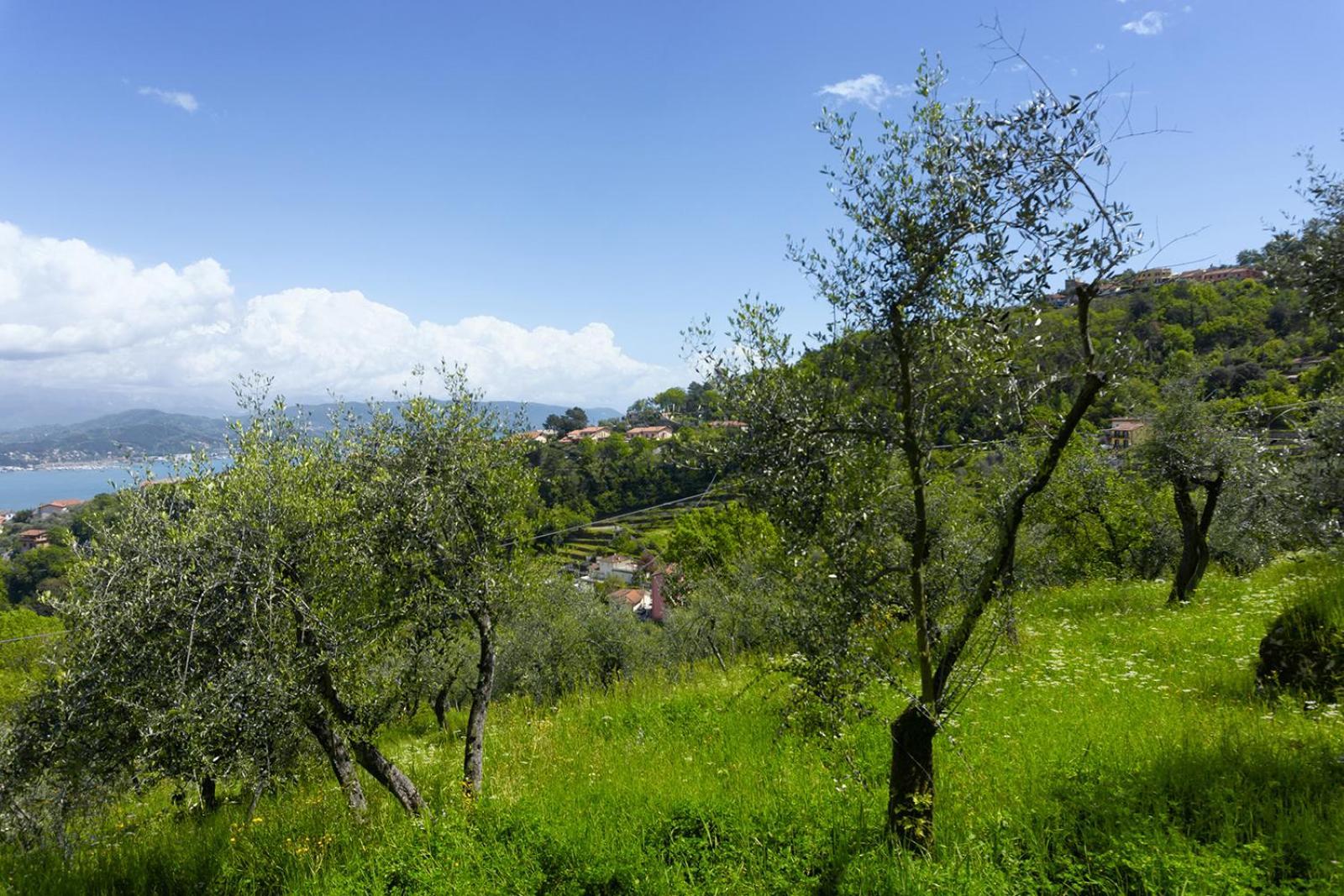 Apartamento Gli Ulivi Sul Golfo E Le 5 Terre La Spezia Exterior foto