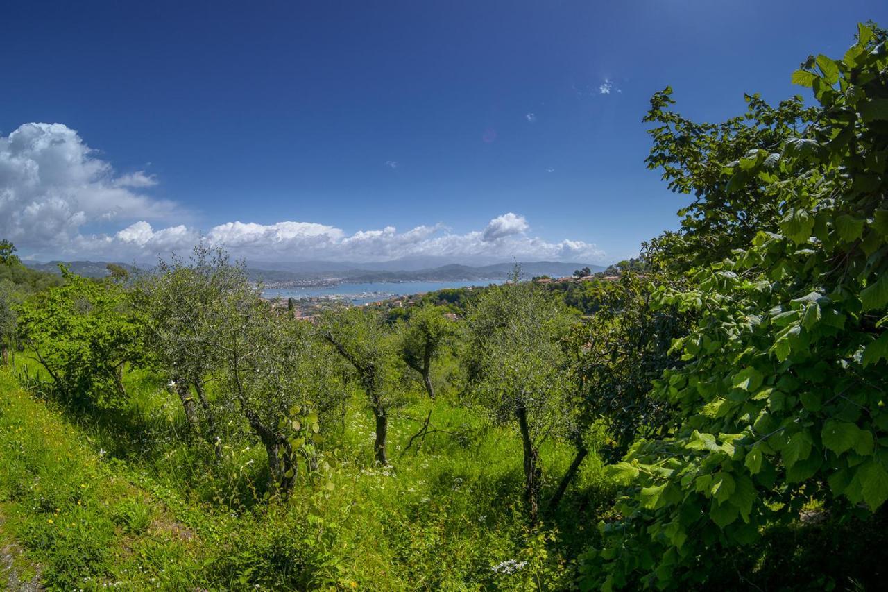 Apartamento Gli Ulivi Sul Golfo E Le 5 Terre La Spezia Exterior foto